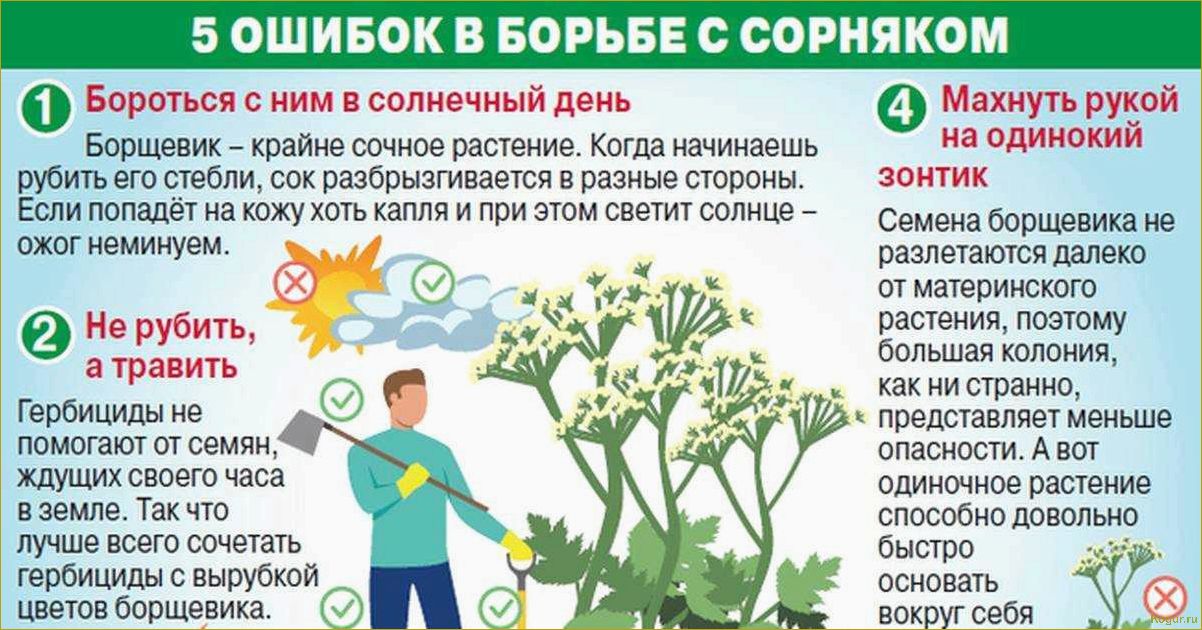 Как эффективно защитить растения от весенних заморозков