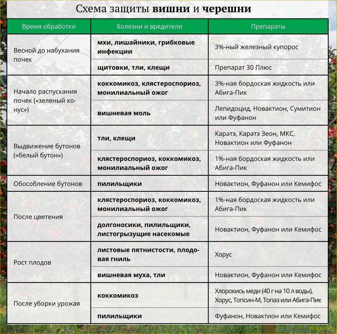 Как эффективно защитить растения от весенних заморозков