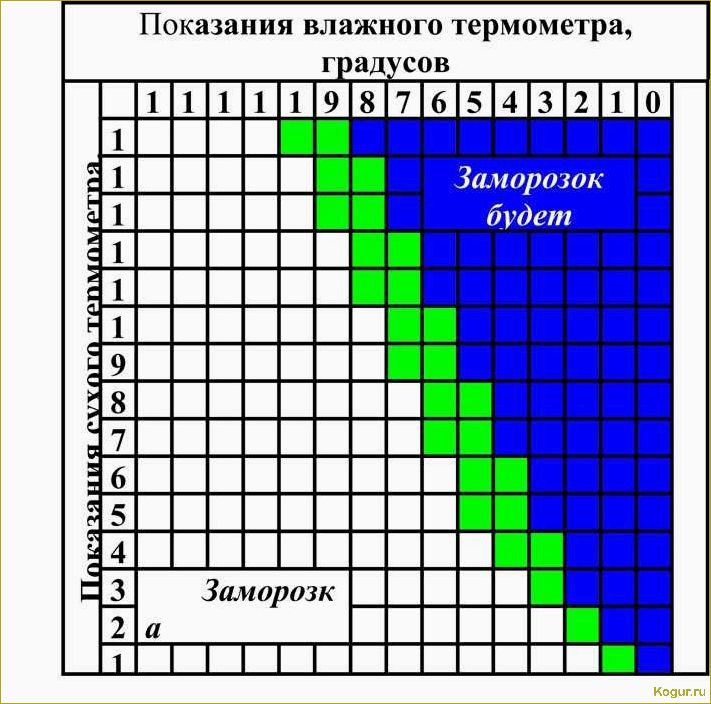 Как эффективно защитить растения от весенних заморозков