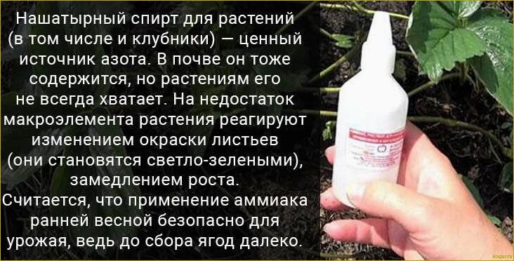 Эффективное применение нашатырного спирта в садоводстве