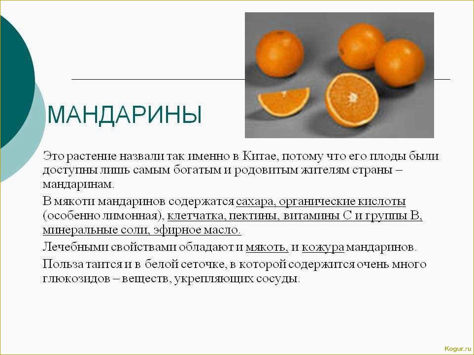 (болезни, поразить, мандариновое) Какие болезни могут поразить мандариновое дерево и как с ними бороться?