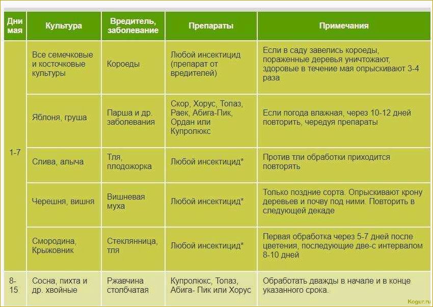 Болезни можжевельника и их лечение эффективными препаратами