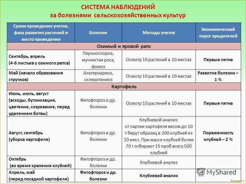 (болезни, подсолнечника, меры, борьбы) Болезни подсолнечника и меры борьбы с ними: как обезвредить невидимого врага