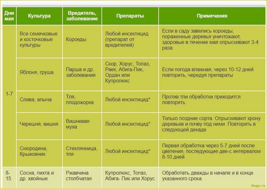 (болезни, подсолнечника, меры, борьбы) Болезни подсолнечника и меры борьбы с ними: как обезвредить невидимого врага