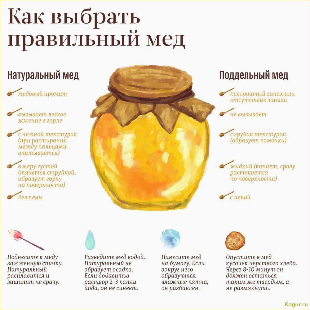 Лечебные свойства тыквенного меда: откройте для себя его удивительные свойства