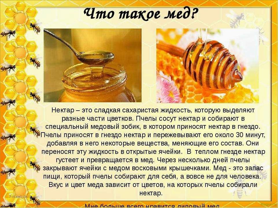 Лечебные свойства тыквенного меда: откройте для себя его удивительные свойства