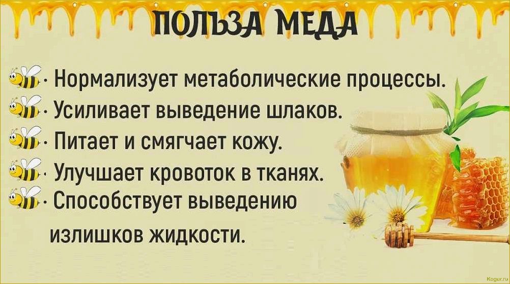 Лечебные свойства тыквенного меда: откройте для себя его удивительные свойства