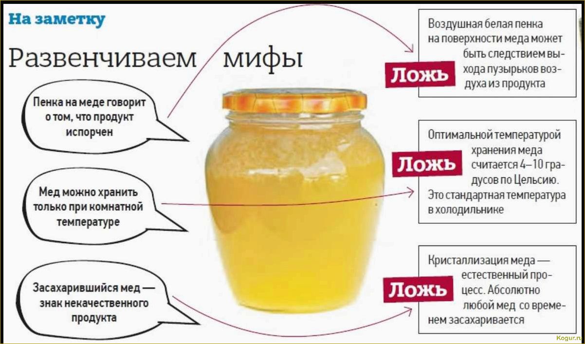 Лечебные свойства тыквенного меда: откройте для себя его удивительные свойства