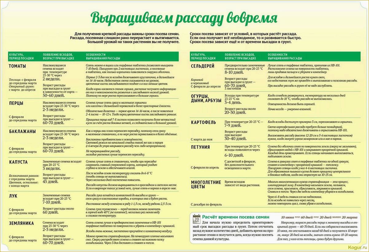 (жителей, урала, подмосковья, виды, растений) Для жителей Урала и Подмосковья — виды растений, выращиваемых через рассаду, посев семян в марте