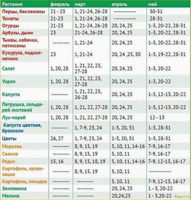 (жителей, урала, подмосковья, виды, растений) Для жителей Урала и Подмосковья — виды растений, выращиваемых через рассаду, посев семян в марте