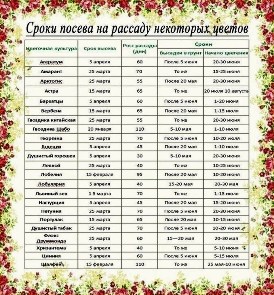 (жителей, урала, подмосковья, виды, растений) Для жителей Урала и Подмосковья — виды растений, выращиваемых через рассаду, посев семян в марте