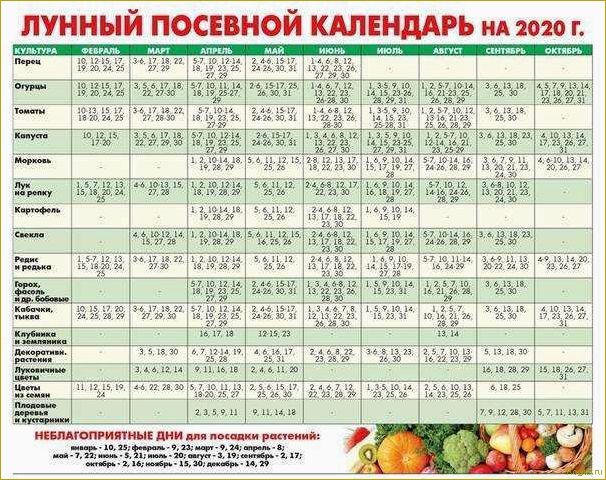 (жителей, урала, подмосковья, виды, растений) Для жителей Урала и Подмосковья — виды растений, выращиваемых через рассаду, посев семян в марте