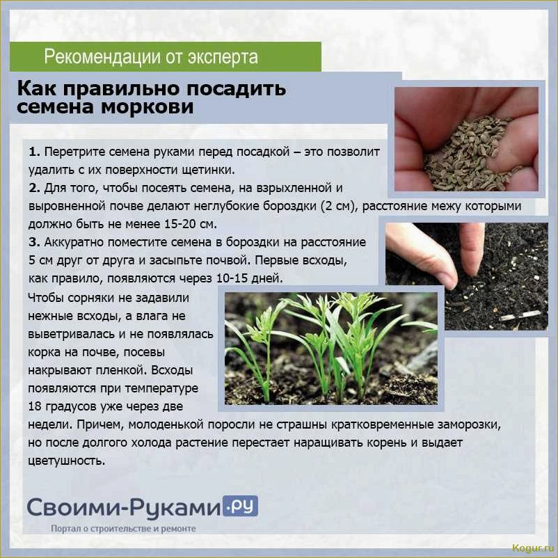 (жителей, урала, подмосковья, виды, растений) Для жителей Урала и Подмосковья — виды растений, выращиваемых через рассаду, посев семян в марте
