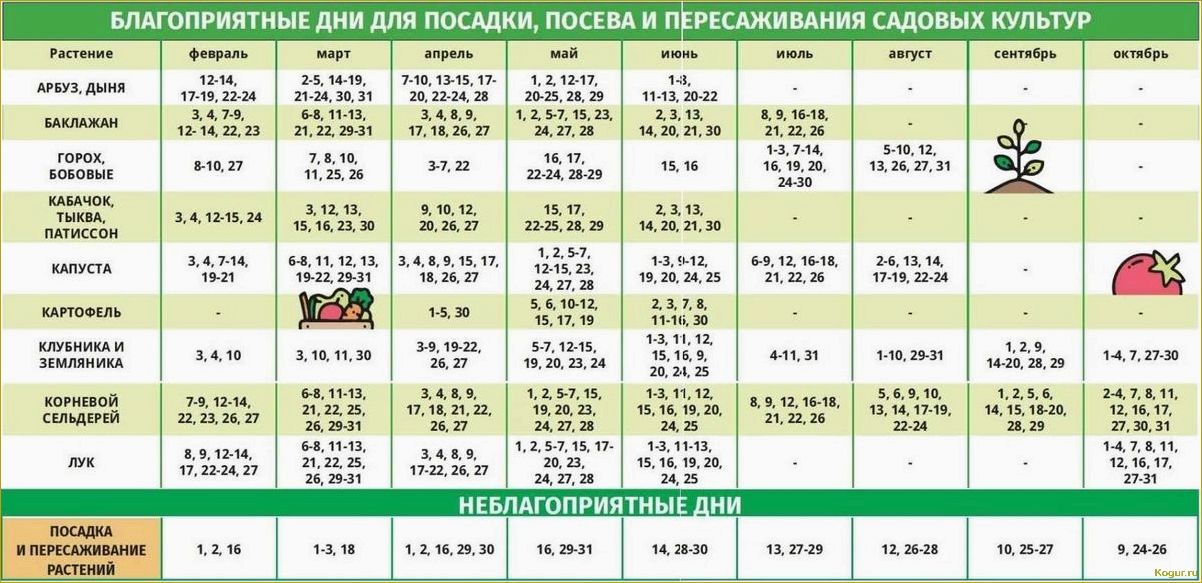 (жителей, урала, подмосковья, виды, растений) Для жителей Урала и Подмосковья — виды растений, выращиваемых через рассаду, посев семян в марте