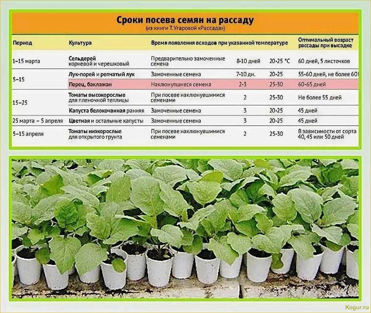 (жителей, урала, подмосковья, виды, растений) Для жителей Урала и Подмосковья — виды растений, выращиваемых через рассаду, посев семян в марте