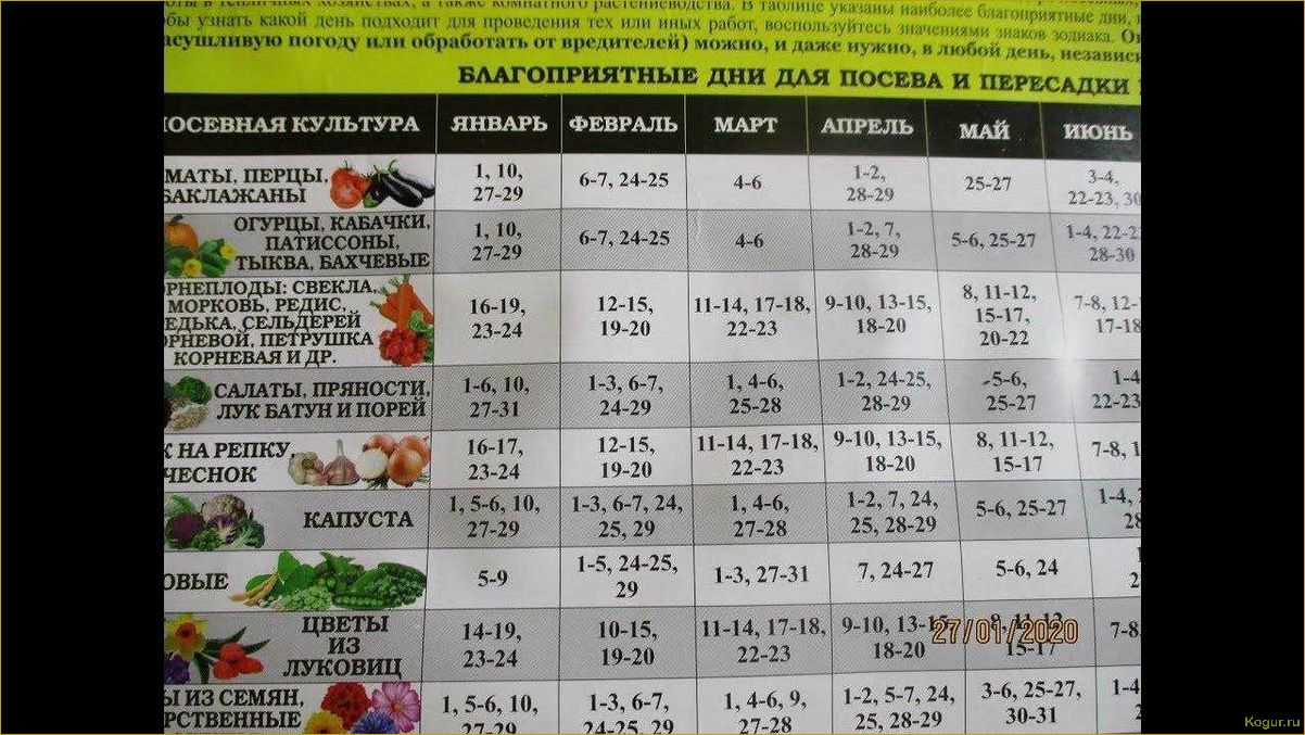 (жителей, урала, подмосковья, виды, растений) Для жителей Урала и Подмосковья — виды растений, выращиваемых через рассаду, посев семян в марте
