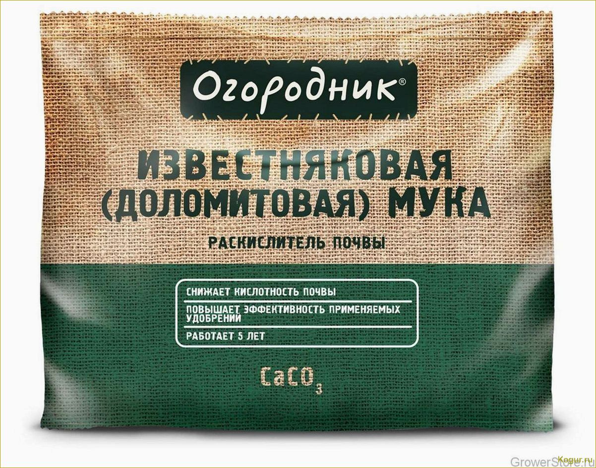 (применение, доломитовой, муки, улучшения, урожайности) Применение доломитовой муки для улучшения урожайности и качества плодово-годных и овощных культур: экологически чистый природный материал в действии