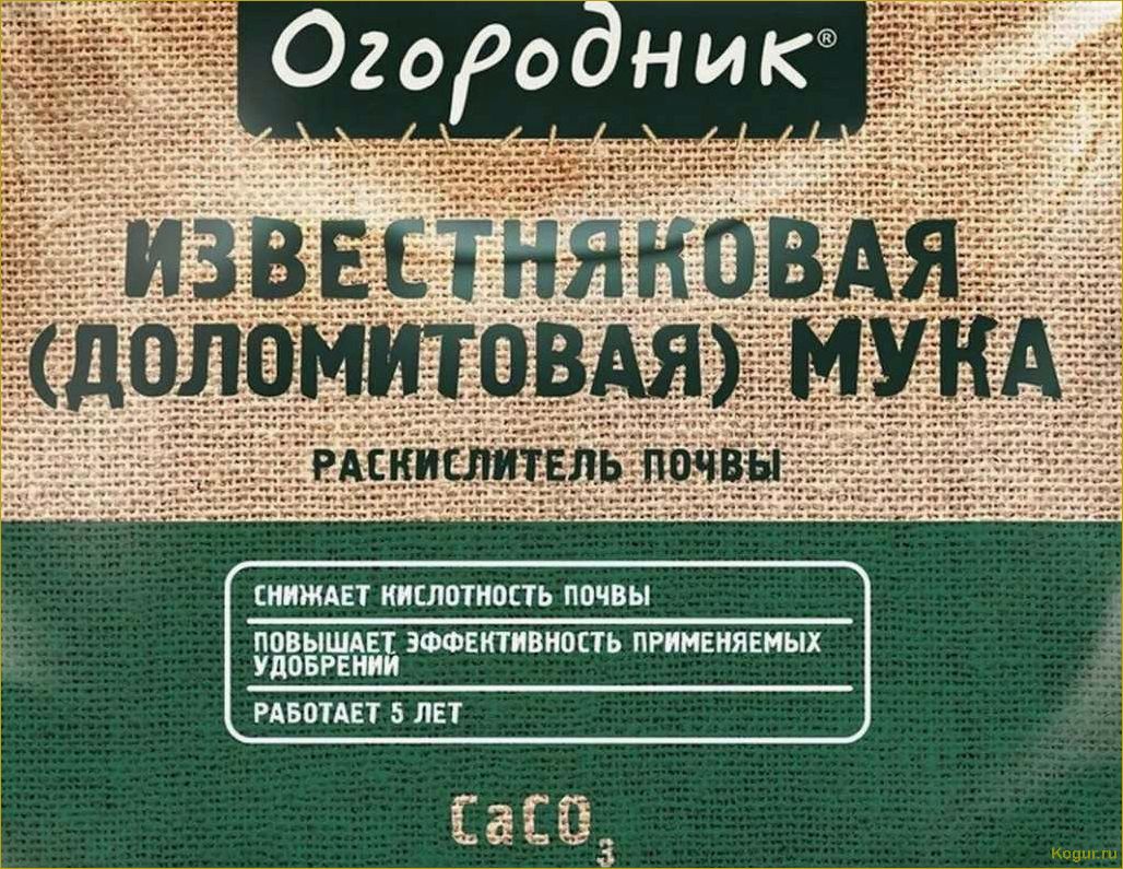 (применение, доломитовой, муки, улучшения, урожайности) Применение доломитовой муки для улучшения урожайности и качества плодово-годных и овощных культур: экологически чистый природный материал в действии