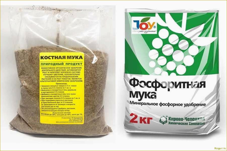 (применение, доломитовой, муки, улучшения, урожайности) Применение доломитовой муки для улучшения урожайности и качества плодово-годных и овощных культур: экологически чистый природный материал в действии