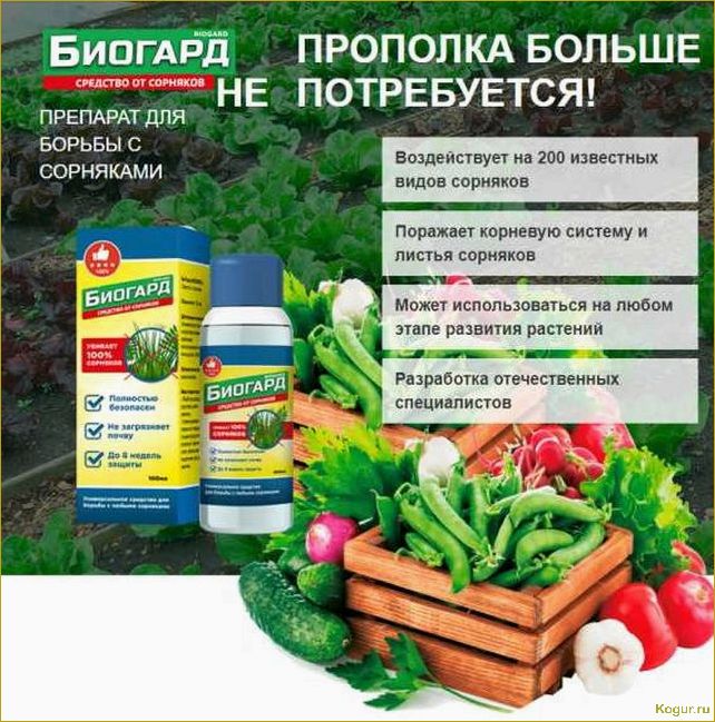(гербицид, лазурит, правила, использования, раствора) Гербицид Лазурит — правила использования раствора от сорняков