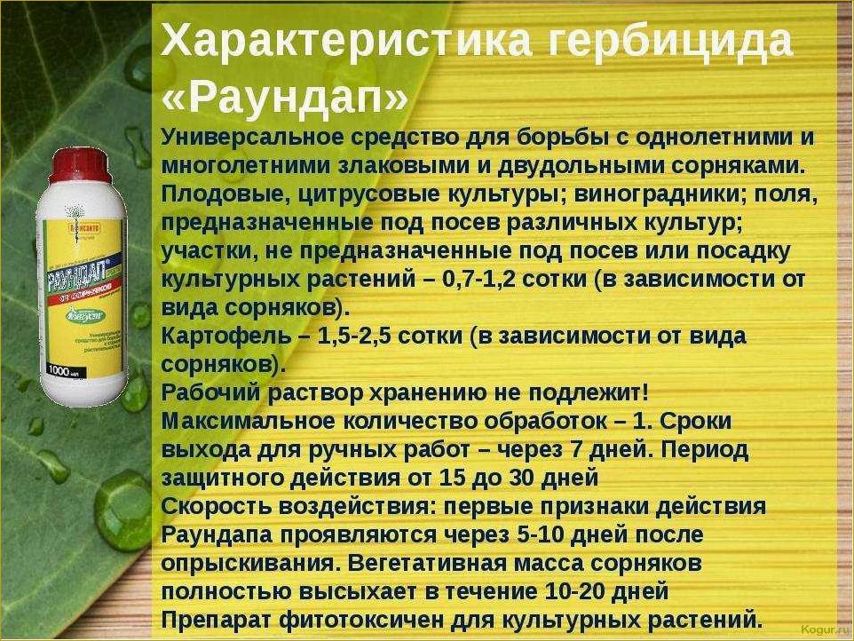 (гербицид, лазурит, правила, использования, раствора) Гербицид Лазурит — правила использования раствора от сорняков