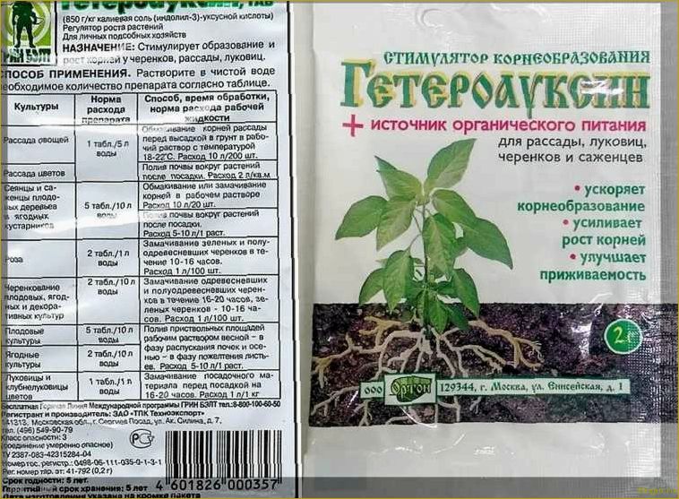 Как правильно использовать Актофит для ухода за садовыми и комнатными растениями: подробная инструкция