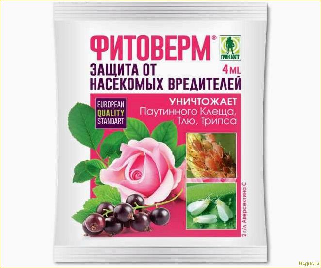 Как правильно использовать Актофит для ухода за садовыми и комнатными растениями: подробная инструкция