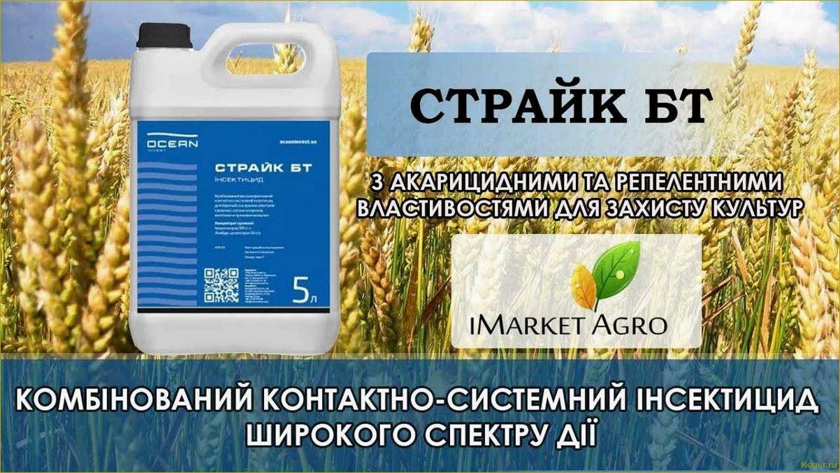 (использовать, инсектицид, фастак, подробная, инструкция) Как использовать инсектицид Фастак: подробная инструкция и рекомендации