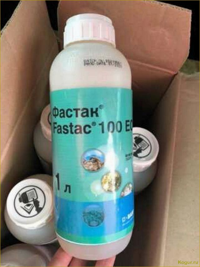 (использовать, инсектицид, фастак, подробная, инструкция) Как использовать инсектицид Фастак: подробная инструкция и рекомендации