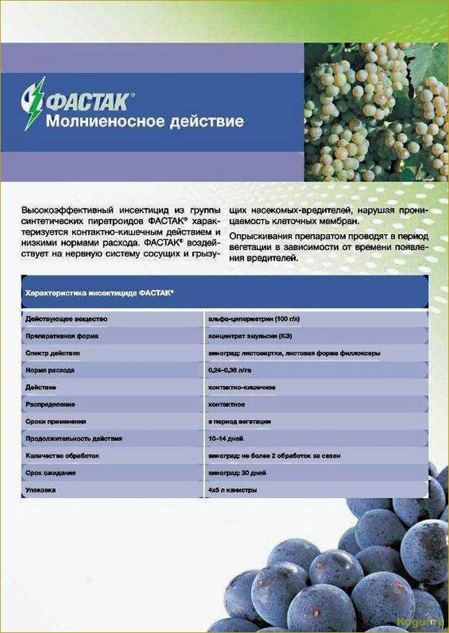 (использовать, инсектицид, фастак, подробная, инструкция) Как использовать инсектицид Фастак: подробная инструкция и рекомендации