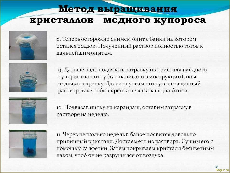 (инструкция, применению, медного, купороса, сферах) Инструкция по применению медного купороса в разных сферах