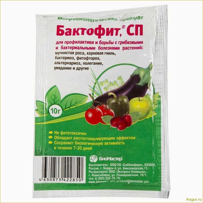Как правильно использовать Актофит для ухода за садовыми и комнатными растениями: подробная инструкция