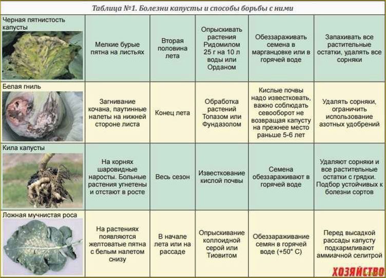 Как распознать и предотвратить заболевания земляники: полезные советы и методы борьбы