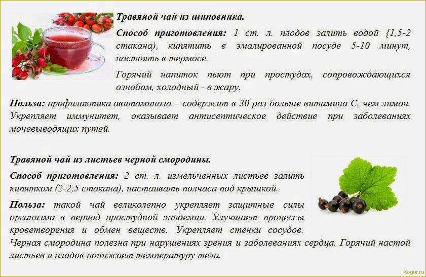 Полезные свойства актинидии и противопоказания к употреблению