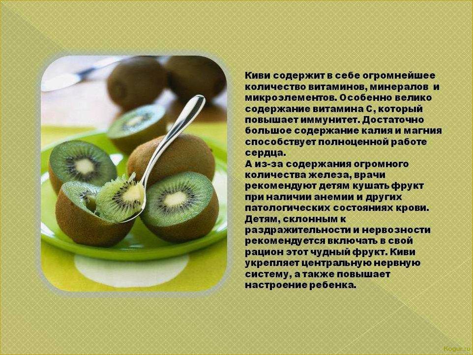 Полезные свойства актинидии и противопоказания к употреблению