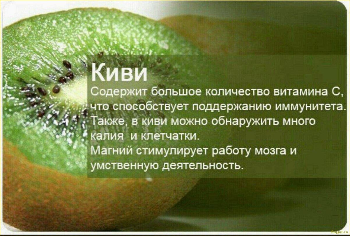 Полезные свойства актинидии и противопоказания к употреблению