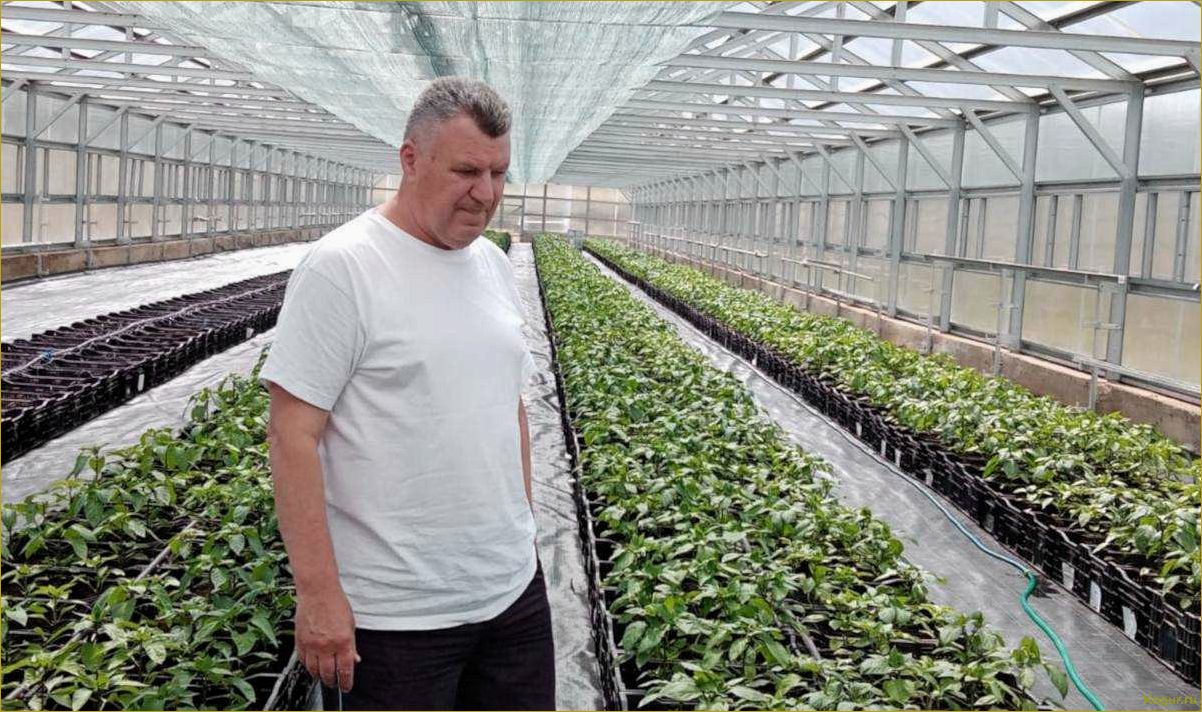 Как выбрать пленку для теплицы, чтобы вырастить хороший урожай