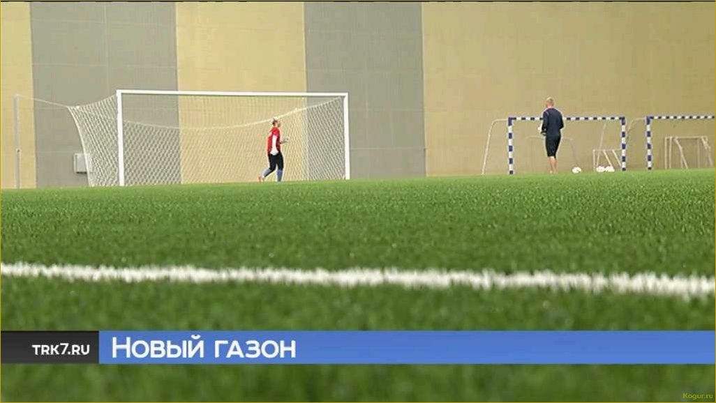 (работа, агронома, футбольном, стадионе) Работа агронома на футбольном стадионе: почему нельзя ходить по газону?
