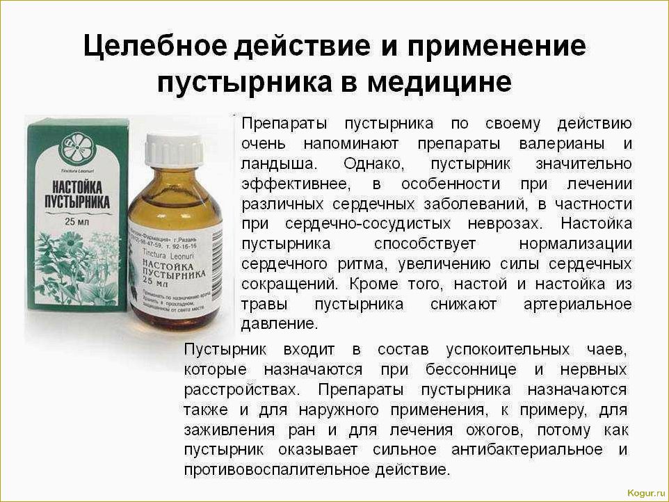 (полынь, однолетняя, целебные, свойства, рецепты) Полынь однолетняя — целебные свойства, рецепты настоек и отваров для лечения