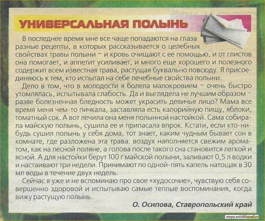 (полынь, однолетняя, целебные, свойства, рецепты) Полынь однолетняя — целебные свойства, рецепты настоек и отваров для лечения