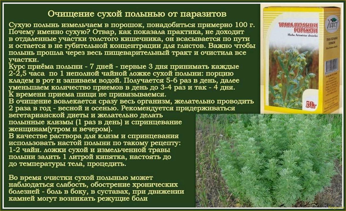 (полынь, однолетняя, целебные, свойства, рецепты) Полынь однолетняя — целебные свойства, рецепты настоек и отваров для лечения
