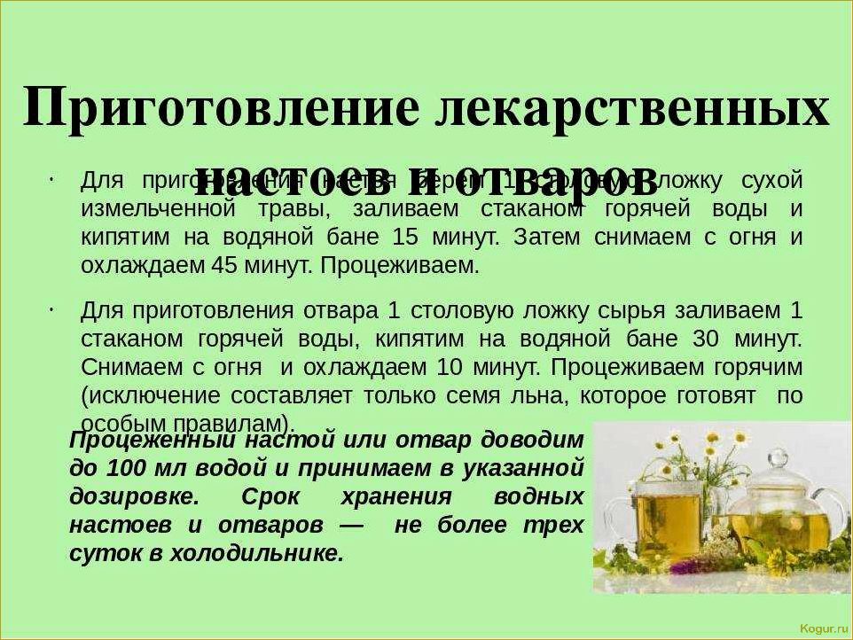 (полынь, однолетняя, целебные, свойства, рецепты) Полынь однолетняя — целебные свойства, рецепты настоек и отваров для лечения