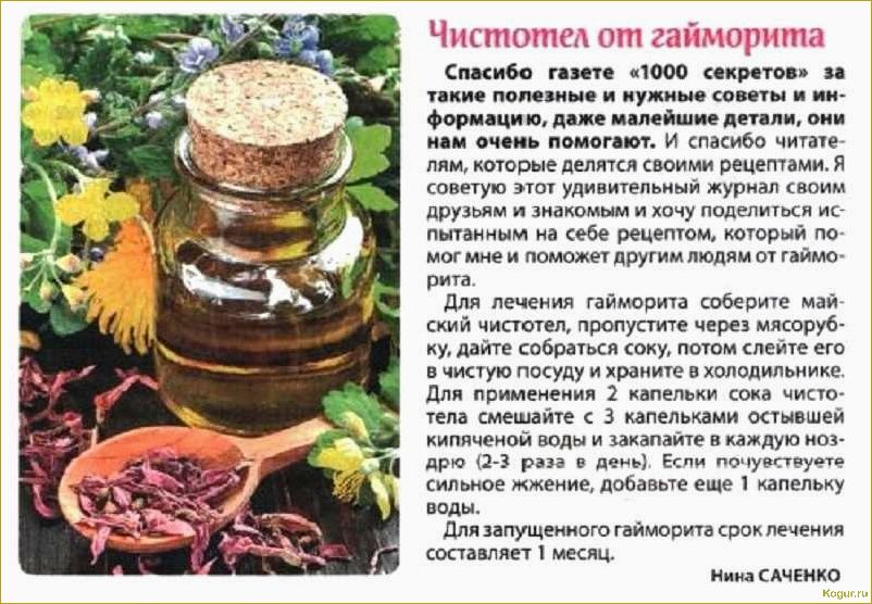 (полынь, однолетняя, целебные, свойства, рецепты) Полынь однолетняя — целебные свойства, рецепты настоек и отваров для лечения