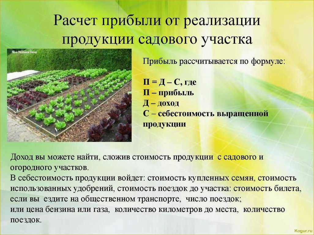 Преимущества использования минитрактора на приусадебном участке: правила выбора