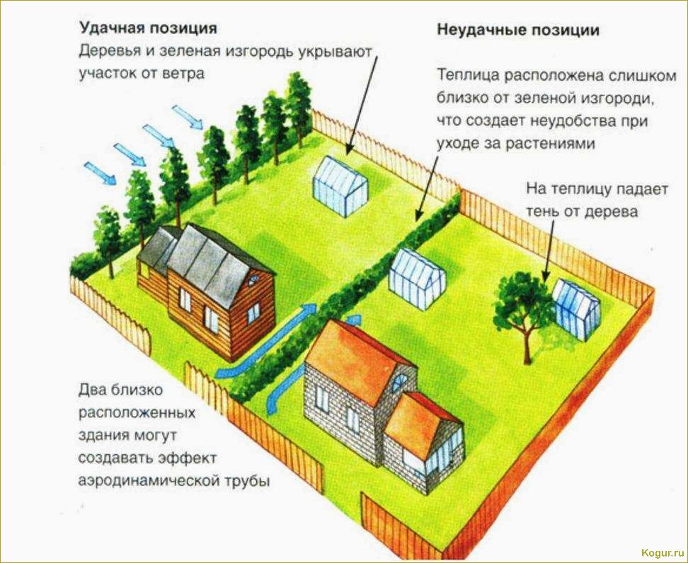 Преимущества использования минитрактора на приусадебном участке: правила выбора