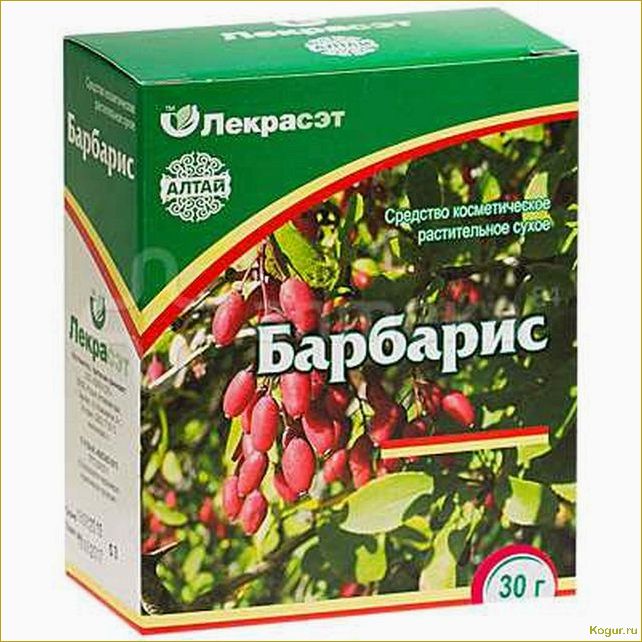 Исследование и применение полезных свойств барбариса обыкновенного в медицине
