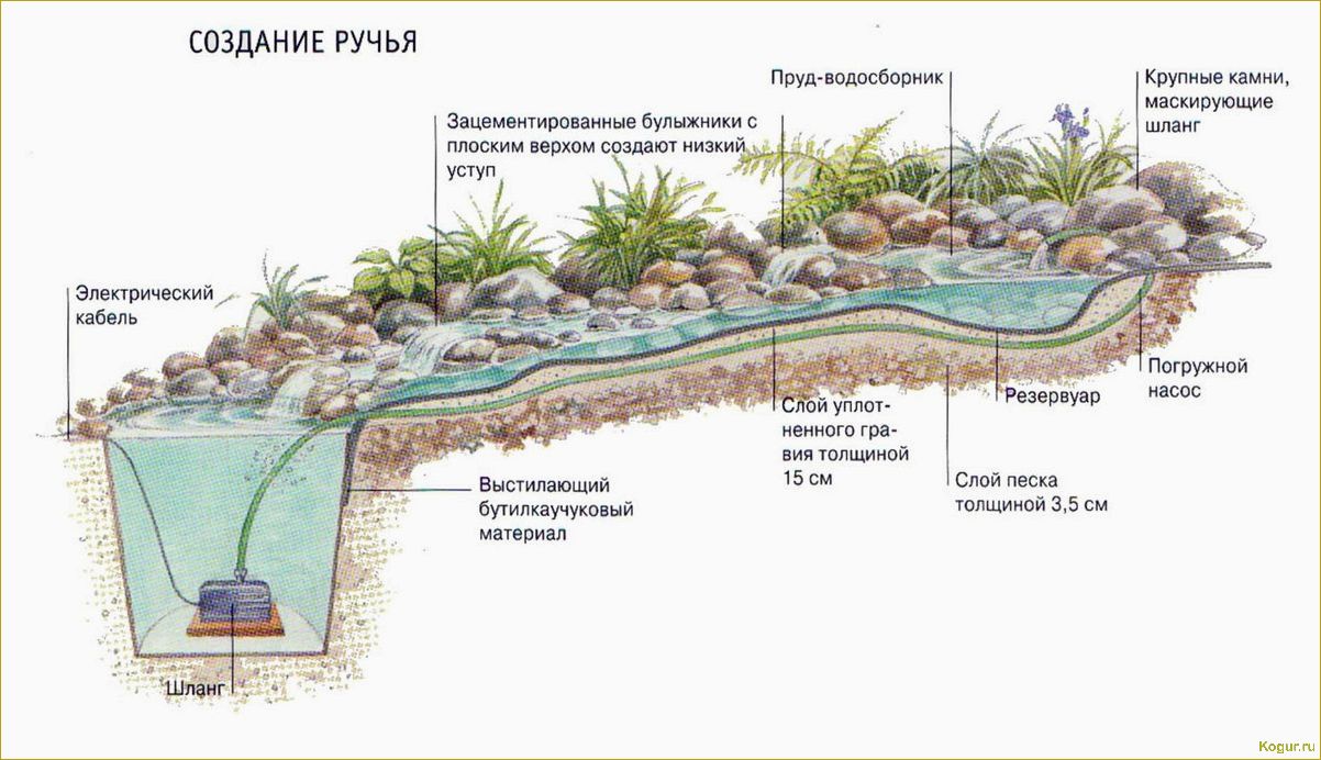 Растения для альпинария: зонирование и расположение
