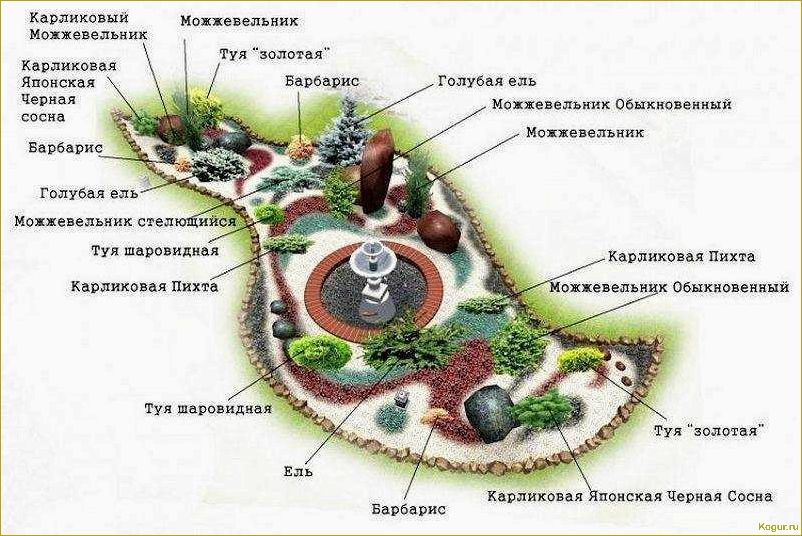 Растения для альпинария: зонирование и расположение