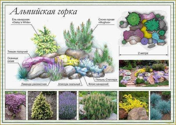 Растения для альпинария: зонирование и расположение