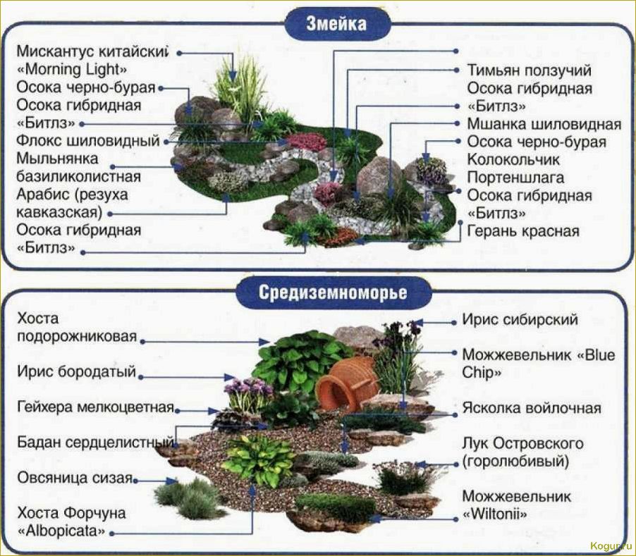 Растения для альпинария: зонирование и расположение